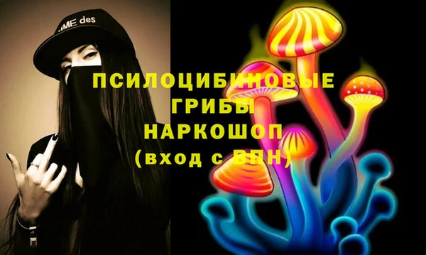 молекула духа Абинск