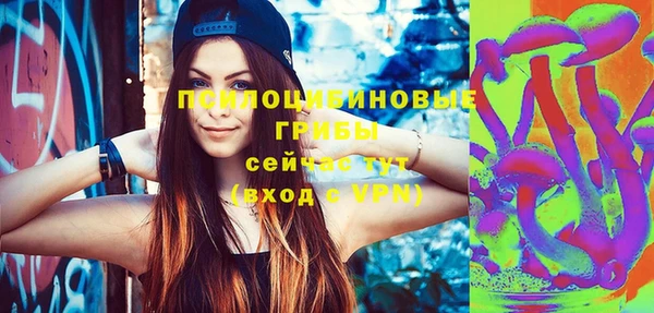 молекула духа Абинск